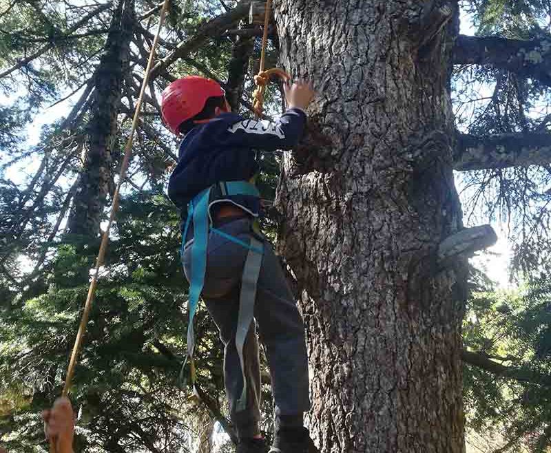 Γνωριμία με την Ελλάδα στην Πάρνηθα στο πρώτο σχολείο στα νότια προάστια