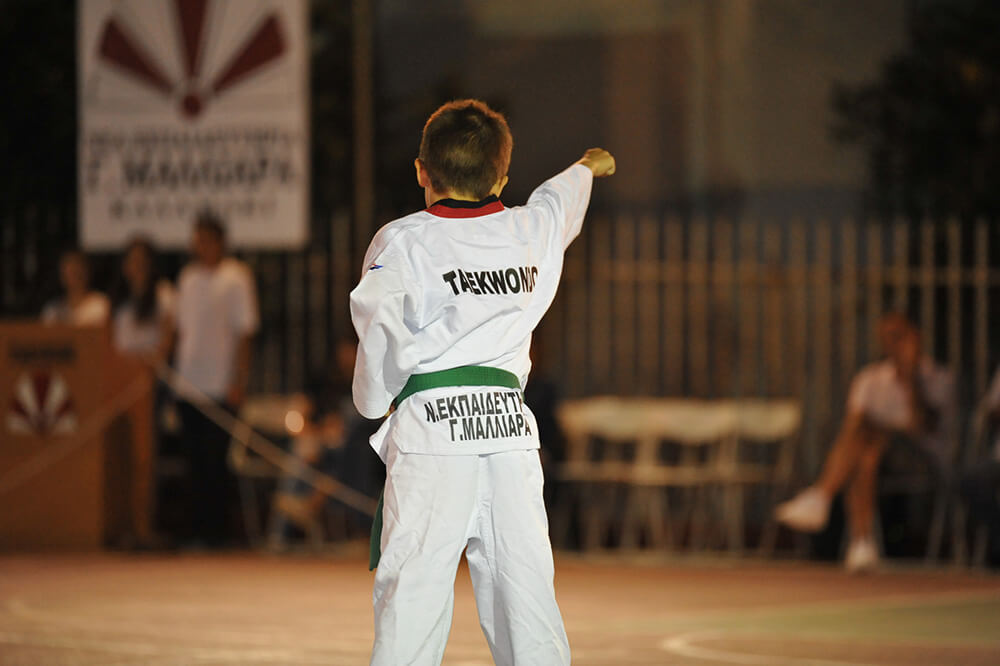 Tae Kwon Do, Νέα Εκπαιδευτήρια